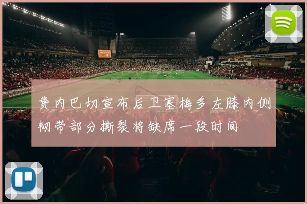 费内巴切宣布后卫塞梅多左膝内侧韧带部分撕裂将缺席一段时间