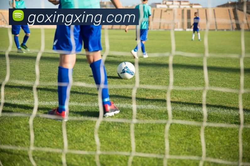 星星体育APP 封面图